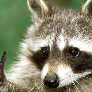 Meet your Posher, Jaimie